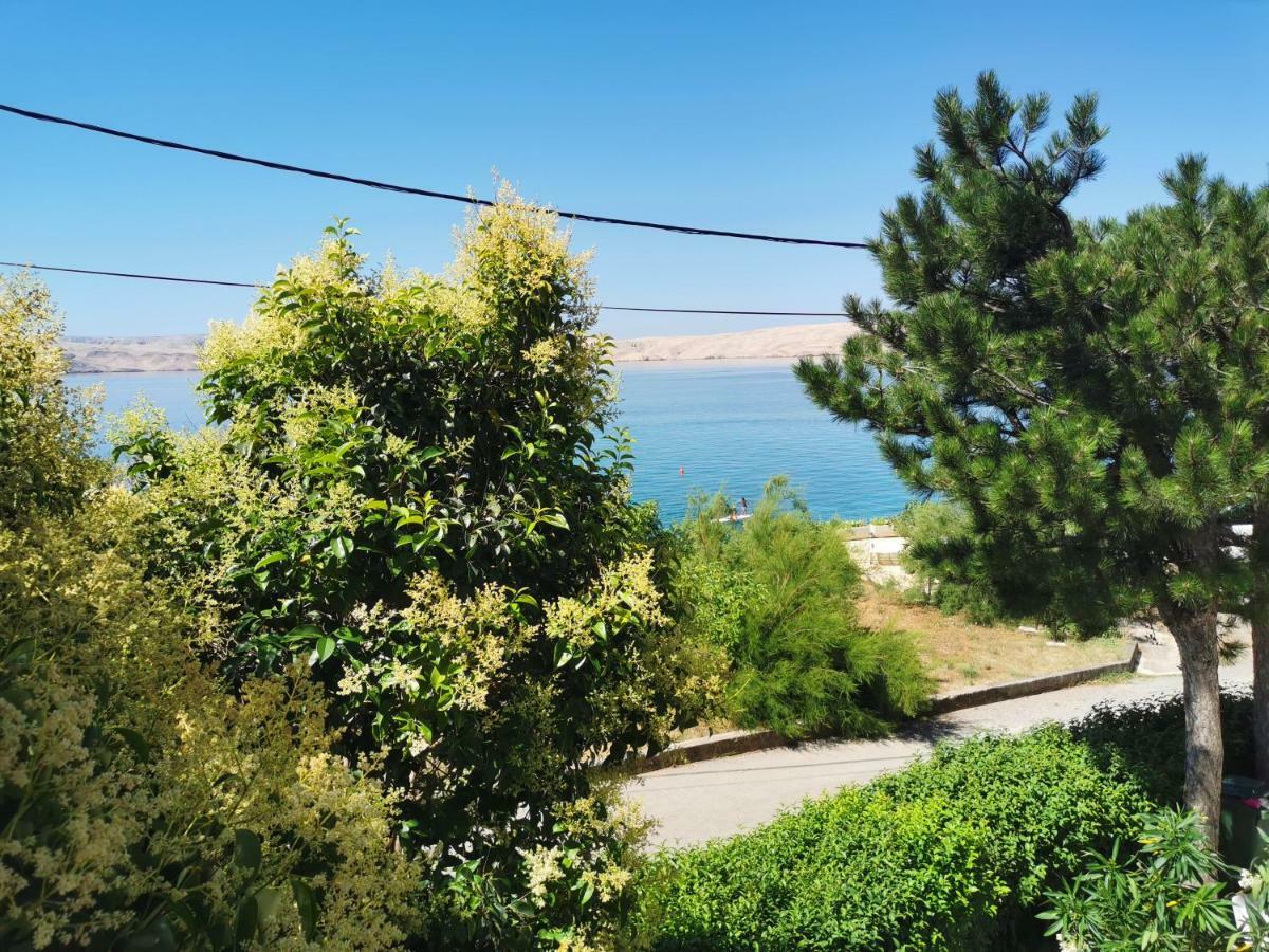 Beachfront House Ivana With Pool - Renovated 2025 세사리카 외부 사진